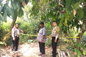 Jibom Brimob Musnahkan Dua Granat Peninggalan Perang Dunia
