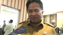 Penjabat Gubernur Sumatera Utara Hassanudin. Foto: Antara/Anggi Luthfi Panggabean