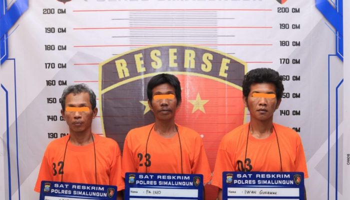 Pencuri Sawit di Simalungun yang Menyerang Sekuriti PT Lonsum Pakai Molotov Ditangkap