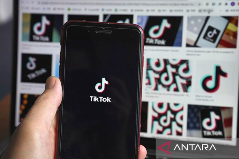 Ilustrasi - Logo TikTok terlihat di layar smartphone di New York, Amerika Serikat. Foto: Antara/Xinhua