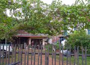 Polisi Gerebek Rumah Praktik Perdukunan di Tangerang, Temukan Senpi dan Granat