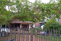 Suasana rumah yang diduga sebagai tempat praktik perdukunan di kawasan Sawah Lama, Ciputat, Kota Tangerang Selatan, Banten. Foto: Antara/Azmi Samsul Maarif