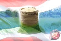 Ilustrasi Beras Thailand (ANTARA News/Grafis)