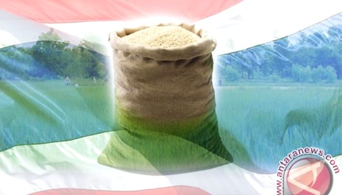 Thailand akan Jual Beras Stok Terakhir Berumur Satu Dekade