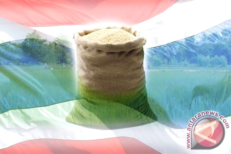 Ilustrasi Beras Thailand (ANTARA News/Grafis)