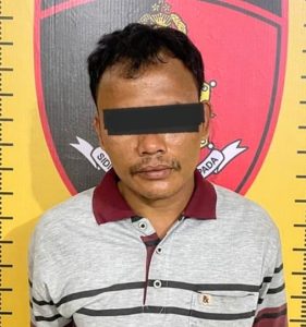 Buron 5 Bulan, Pencuri 300 Bebek di Sergai Dibekuk