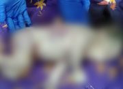 Warga Temukan Bayi Luka-luka di Semak Belukar, Nyawanya Tak Tertolong