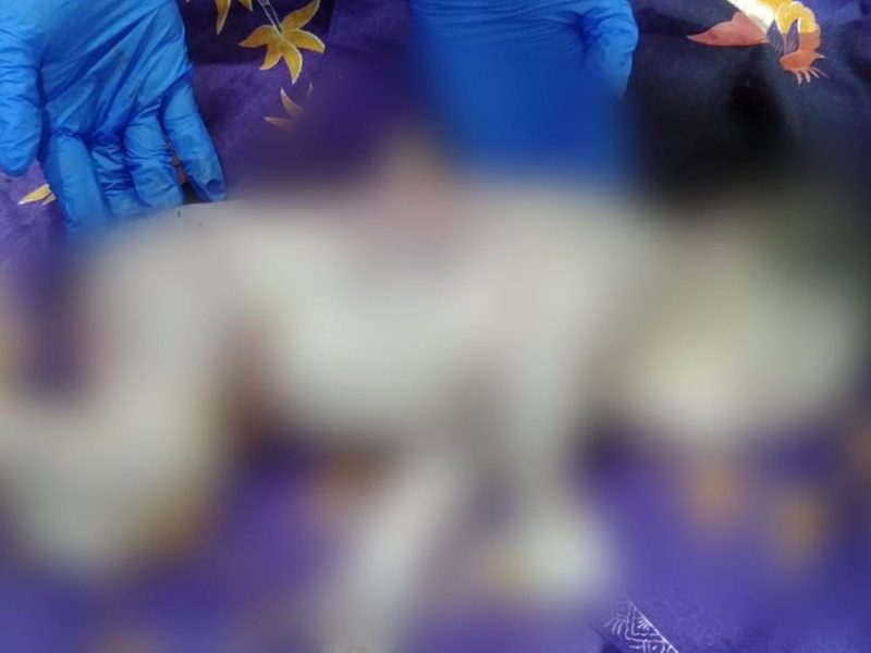 Warga di Kabupaten Simalungun menemukan bayi perempuan dari semak belukar dengan kondisi luka-luka. Nyawa sang bayi tak terselamatkan. Foto: Humas Polres Simalungun