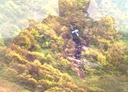 Presiden Iran Meninggal Dunia dalam Kecelakaan Helikopter, Begini Penyebab Helikopter Jatuh