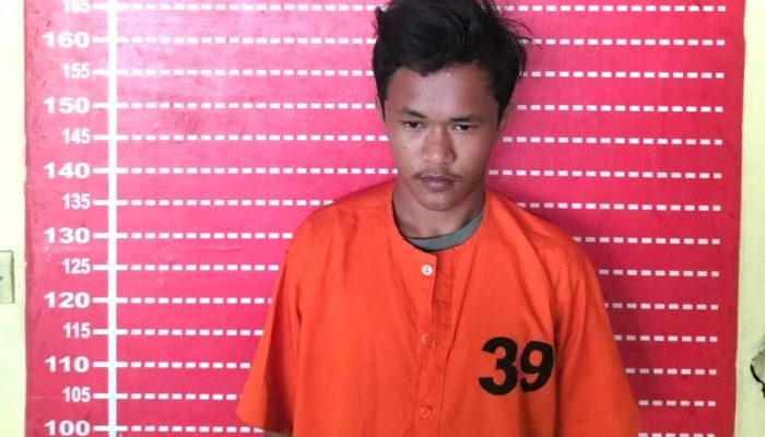 Polisi Bekuk Pembobol Gudang PLN di Seirampah, Lihat Tampangnya!