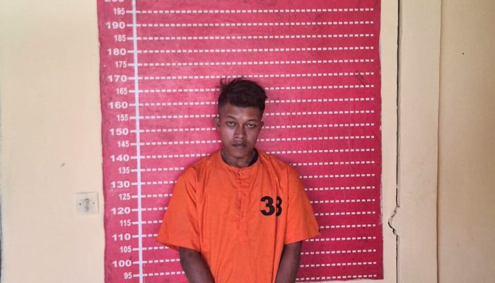 Pria Tersangka Pencurian Sepeda Motor Ditangkap Polsek Firdaus