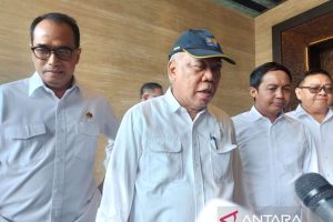Presiden Jokowi Beri Nama Kantor Presiden di IKN dengan Nama Istana Garuda