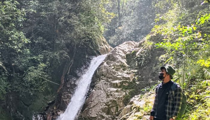 Pohon Damai Simempar: Oase Tersembunyi di Deli Serdang