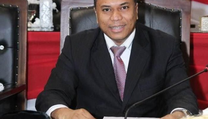 PDIP Ungkap Sosok Pendamping Prof Ridha di Pilkada Medan