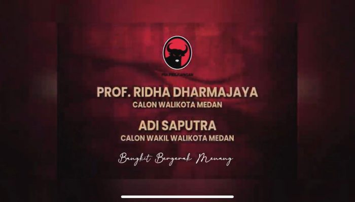 PDIP Kemungkinan Batal Calonkan Adi Saputra Dampingi Prof Ridha, Diganti Ketua PPP Medan