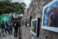 OU Fest 2024 di Sipirok, Kabupaten Tapanuli Selatan, Sumatera Utara, 23 hingga 25 Agustus. Foto: Istimewa