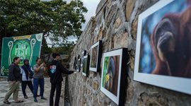 OU Fest 2024 di Sipirok, Kabupaten Tapanuli Selatan, Sumatera Utara, 23 hingga 25 Agustus. Foto: Istimewa