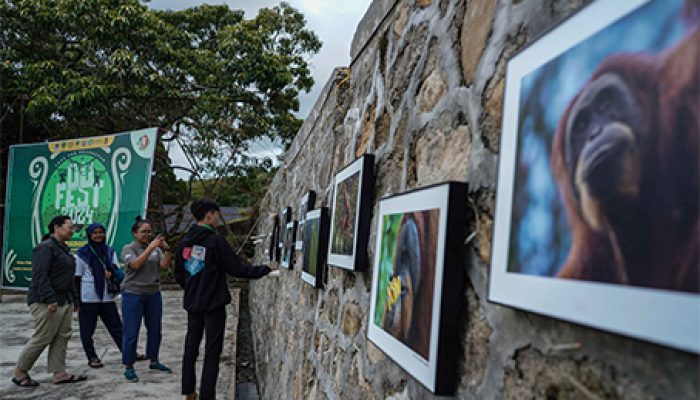 YOSL-OIC: Tantangan Konservasi Bisa Dijawab Dengan Konsolidasi Lintas Organisasi
