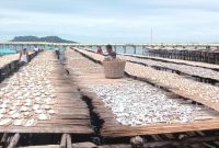 Suasana penjemuran ikan Asin di Kelurahan Pasar Belakang, Kota Sibolga. Foto: Topikseru.com/ Damai Mendrofa