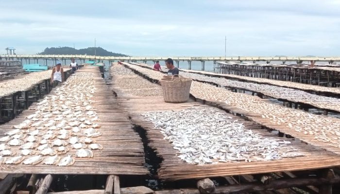 Pengusaha Ikan Asin di Kota Sibolga Keluhkan Cuaca Ekstrem