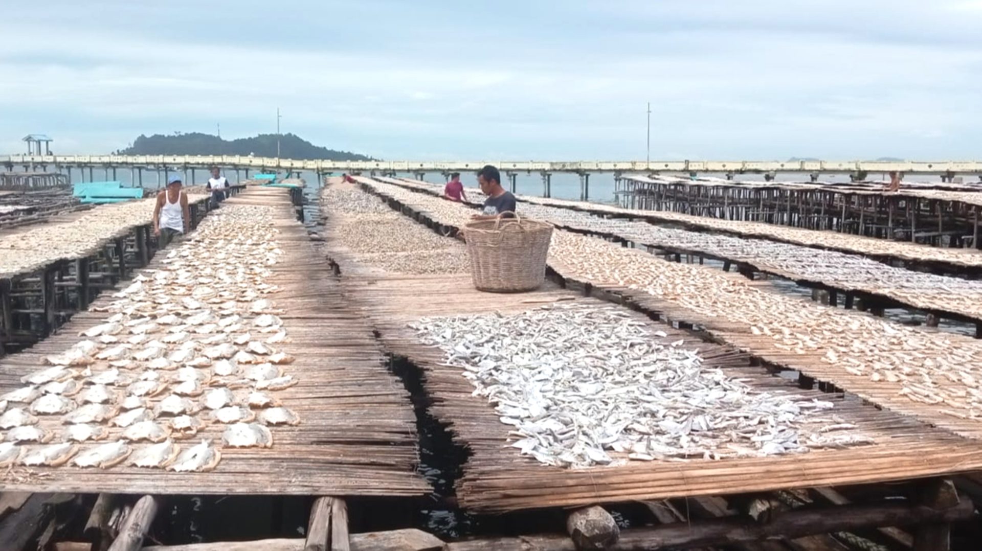 Ikan Asin Sibolga