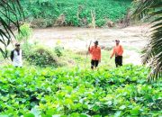 Tim SAR Temukan Warga yang Hilang di Hutan Aek Beringin dalam Kondisi Selamat