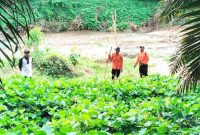 Petugas Basarnas Medan saat melakukan pencarian terhadap seorang warga yang dilaporkan hilang di hutan  hutan Aek Beringin. Foto: Dok. Basarnas Medan