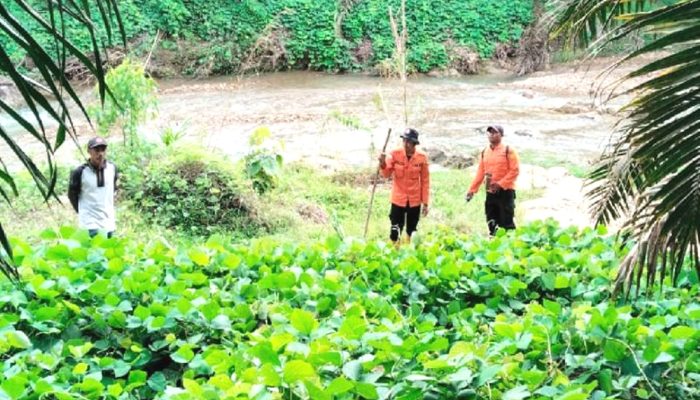 Tim SAR Temukan Warga yang Hilang di Hutan Aek Beringin dalam Kondisi Selamat