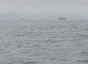 Cuaca Sumut Kamis 14 Agustus 2025, BMKG Peringatkan Potensi Hujan Lebat Disertai Petir, Warga Diminta Waspada