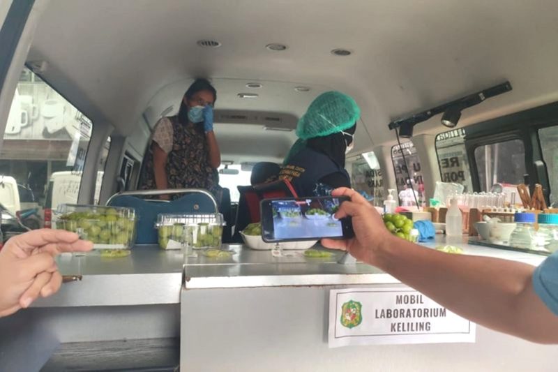 Petugas sedang melakukan pengecekan terhadap buah anggur Shine Muscat terkait isu terkontaminasi pestisida. Foto: Antara