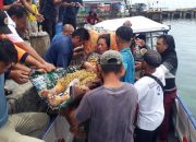 Berikut Update Penanganan DBD dan Malaria di Nias Selatan