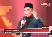 Bobby Janji Libatkan DPR dan DPD, Edy: Wali Kota Saja Anda Langsung ke Menteri