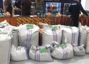 Sindikat Sisik Trenggiling 1,1 Ton Terbongkar, Libatkan Oknum TNI dan Polisi