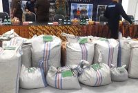 Ditjen Hukum KLHK mengamankan barang bukti sisik trenggiling dari sindikat internasional. Foto: Topikseru.com