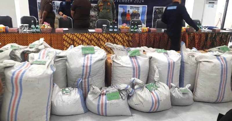 Ditjen Hukum KLHK mengamankan barang bukti sisik trenggiling dari sindikat internasional. Foto: Topikseru.com