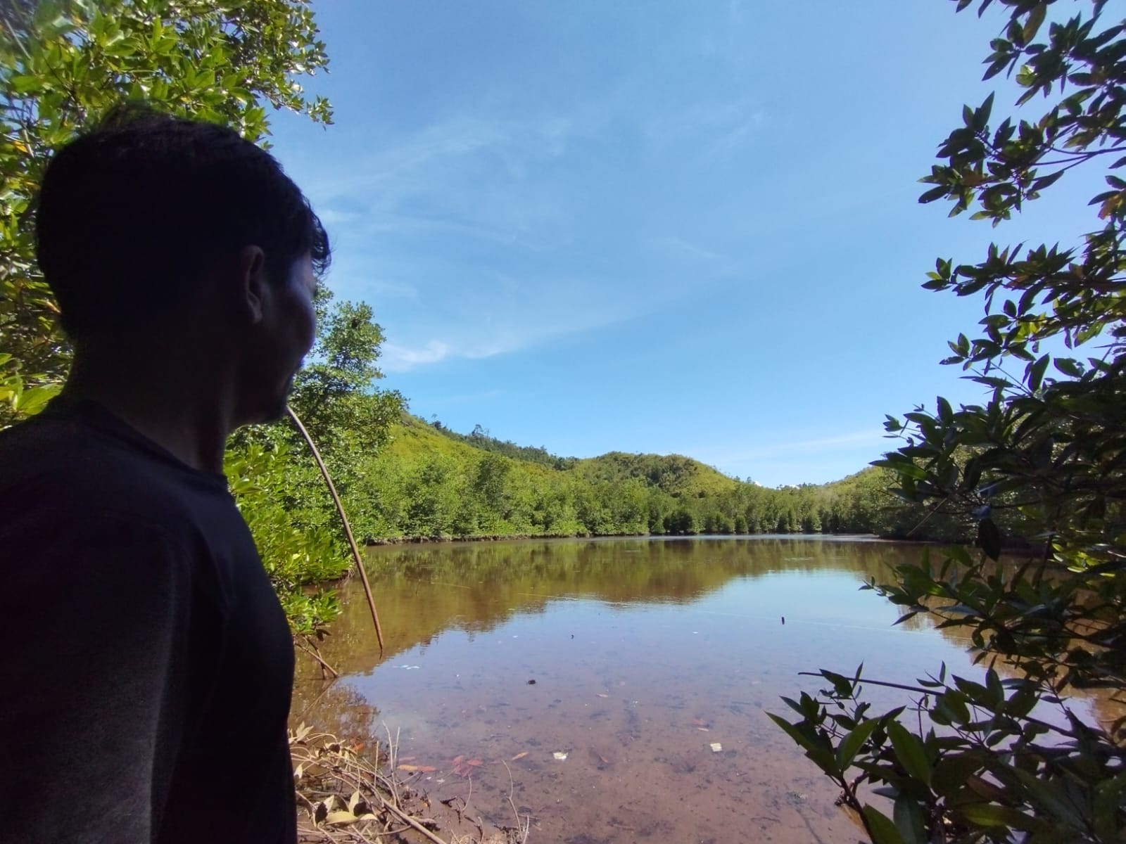 Lindung Marbun saat menunjukkan Hutan Mangrove di Pandaratan. Foto: Topikseru.com/ Damai Mendrofa