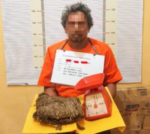Tak Kapok! Polisi Tangkap Residivis Pengedar Ganja di Tapteng