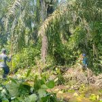 Gotong Royong