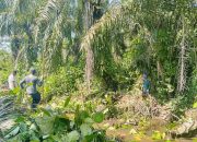 Masyarakat Gotong Royong Bersihkan Aliran Sungai di Kelurahan Pasar Baru