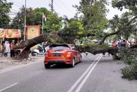 Satu unit mobil ringsek tertimpa pohon tumbang di Jalan Abdullah Lubis, Kota Medan, Minggu (15/12). Foto: topikseru.com