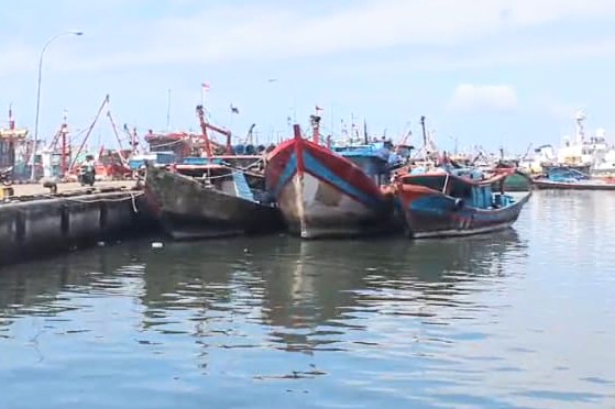 Penampakan tiga kapal penangkap ikan diduga tanpa dokumen yang dilepaskan PSDKP Satwas Sibolga. Foto: Istimewa