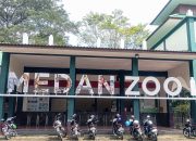Miris Kondisi Medan Zoo: Dulu Berjaya Kini Merana