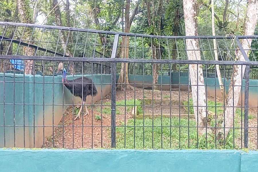 Medan Zoo