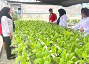 4 Ribuan Napi di Sumut dapat Remisi Khusus Natal 2024