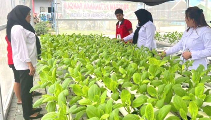 4 Ribuan Napi di Sumut dapat Remisi Khusus Natal 2024