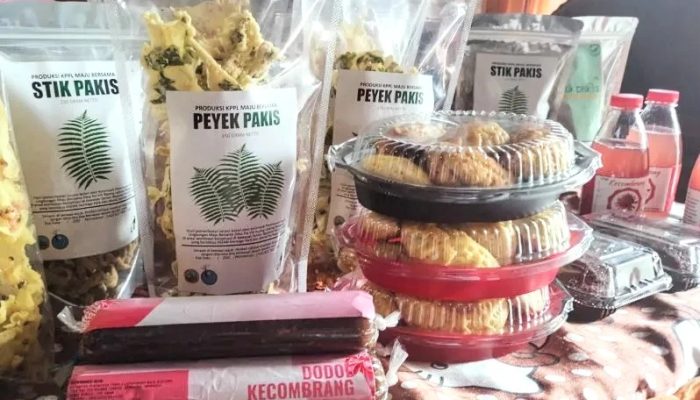 Pemerintah Dorong Koperasi Naik Kelas, Ke Depan Harus Punya Pabrik!