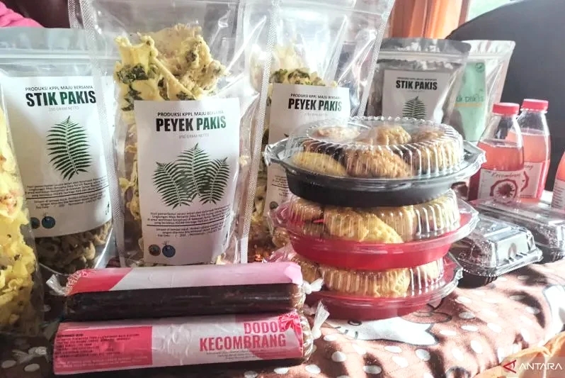 Produk makanan olahan berbahan kecombrang dan pakis yang dihasilkan KPPL Maju Bersama Kecamatan Bermani Ulu Raya, Kabupaten Rejang Lebong. Foto: Antara