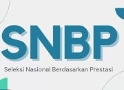 Panduan Lengkap Cek Kuota Sekolah SNBP 2025