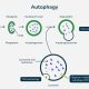 Autophagy, salah satu tips sehat
