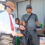 Mayat Bayi Perempuan